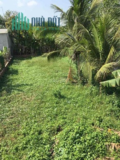 CHÍNH CHỦ BÁN GẤP 333,8m2 ĐẤT FULL THỔ CƯ GIÁ RẺ MT TRUNG TÂM TÂN CHÂU-AN GIANG