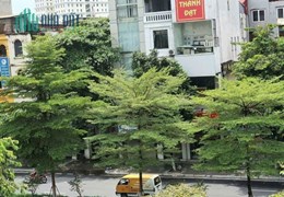 CHO THUÊ TOÀN BỘ NHÀ 5 TẦNG TẠI NGÕ 82 KIM MÃ BA  ĐÌNH HÀ NỘI