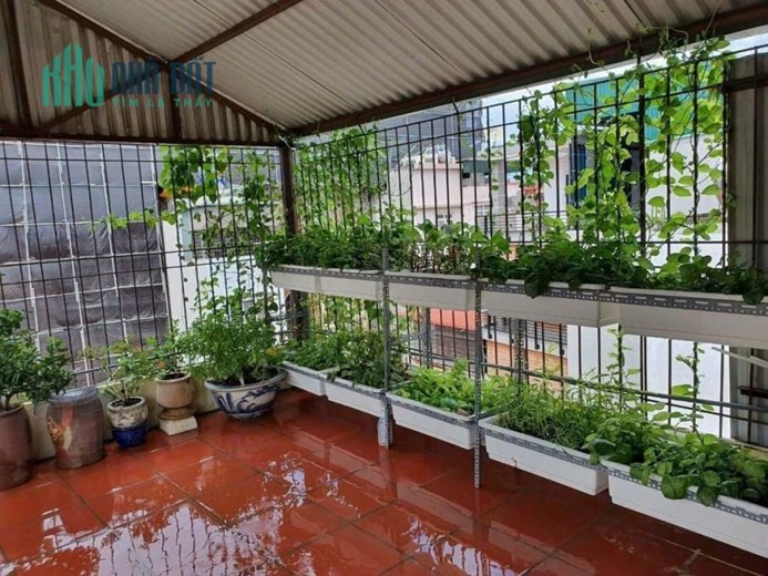 CHO THUÊ TOÀN BỘ NHÀ 5 TẦNG TẠI NGÕ 82 KIM MÃ BA  ĐÌNH HÀ NỘI