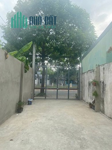 CHÍNH CHỦ CHO THUÊ NHÀ NGUYÊN CĂN 1 LẦU 1 TRỆT GIÁ RẺ TRUNG TÂM TÂN AN