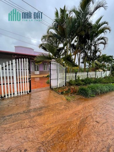 Bán Đất Đẹp Tại Thôn 7Xã Tân Châu, Huyện Di Linh, Lâm Đồng