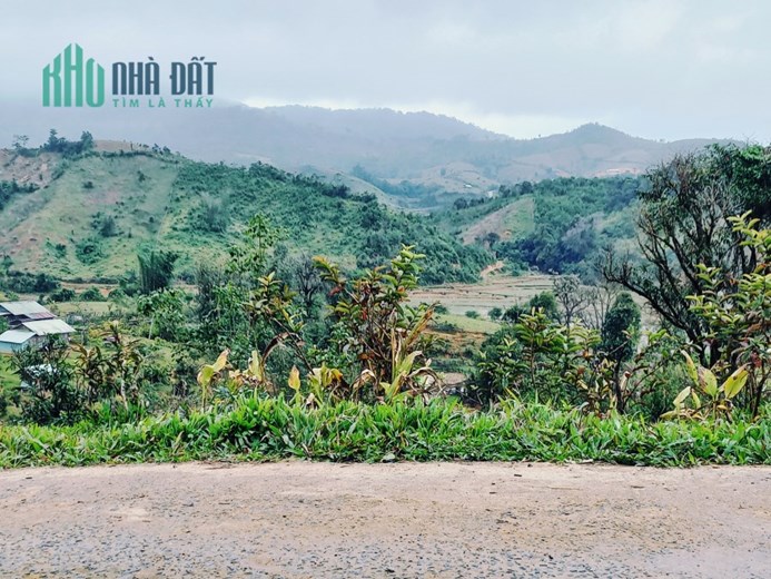 BÁN GẤP MẢNH ĐẤT MĂNG ĐEN GIÁ SIÊU RẺ DO NỢ QUÁ NHIỀU