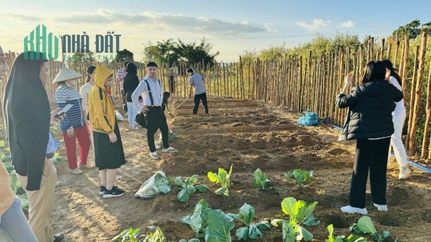 VỠ NỢ BÁN CẮT 15 LÔ ĐẤT NỀN + MÔ HÌNH KHAI THÁC 15TR 1 THÁNG TẠI BIỂN HỒ PLEIKU GIA LAI
