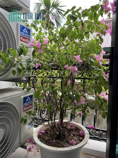 A 19.5 tỷ tòa nhà 9T*100m2 phố Lê Đức Thọ,NTL,HN,DT 2.2tỷ năm,30P kk,THANG MÁY,MT