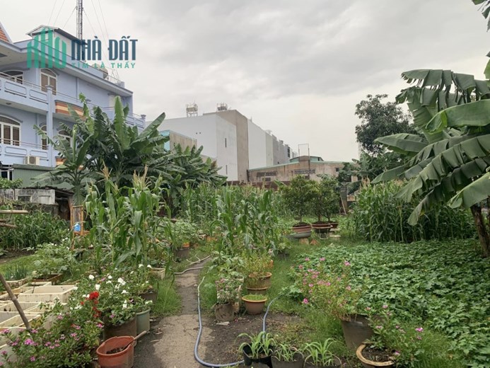 Hạ Giá Bán Nhanh Đất Mặt Tiền Đông Hưng Thuận-1058m2 Ful TC chị 54 Tỷ