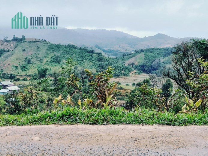 Nợ quá nhiều cần bán gấp đất Măng Đen giá rẻ