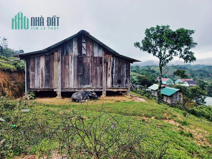Nợ quá nhiều cần bán gấp đất Măng Đen giá rẻ