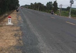 14.800m2 mặt tiền tỉnh lộ 867,Thạnh Mỹ,Tân Phước,Tiền Giang