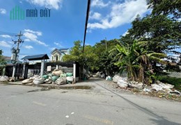 Cần vốn bán nhanh đất CLN 504m2 , đường Nhị Bình 15, Hóc Môn, chỉ 4tỷ3