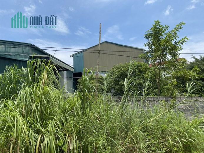 CHUYỂN NHƯỢNG ĐẤT QSD ĐẤT Ở LÂU DÀI VÀ NHÀ XƯỞNG
