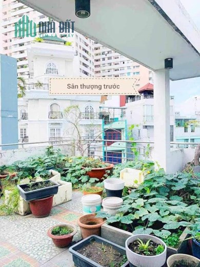 Cực Hiếm - Mặt Tiền Hẻm Trung Tâm Lê Văn Sỹ - Ngang Gần 8m - Hẻm 6M Thông Tứ Tung - Xe Hơi Quay Đầu