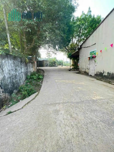 50m sát đấu giá đông sơn giá đầu tư