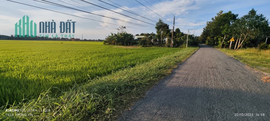 Bán lô đất lúa làm kho xưởng gần Quốc Lộ 50B giá 3,52 tỷ