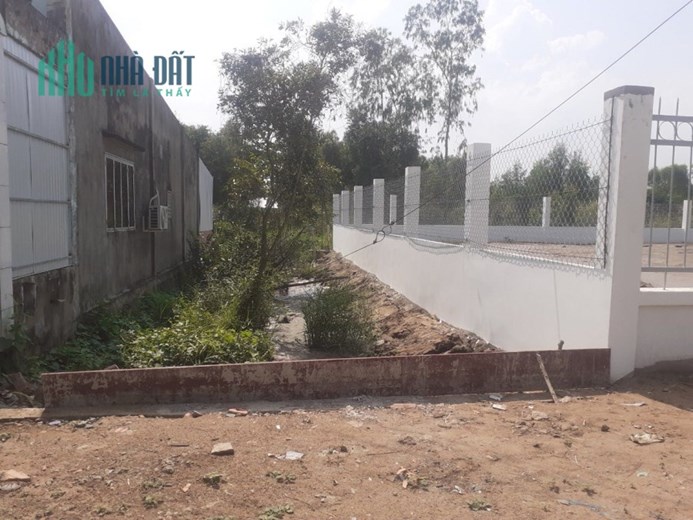 100m2 đất mặt tiền đường khu dân cư  thị trấn Mỹ Phước,Tân Phước,Tiền Giang