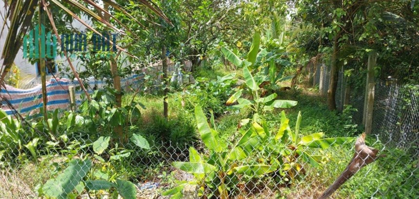 8,5x36m mặt tiền đường Năm Sang, Phước Thạnh, Mỹ Tho,Tiền Giang