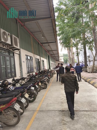 CHUYỂN NHƯỢNG 100% CP.CTY Và TS GẮN LIỀN TẠI KCN PHÚ NGHĨA