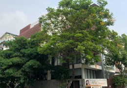 Thông tin thật - Góc 2MT Nguyễn Văn Hưởng P. Thảo Điền Q. 2 - 18x24m 291m2 - bán 30 tỷ