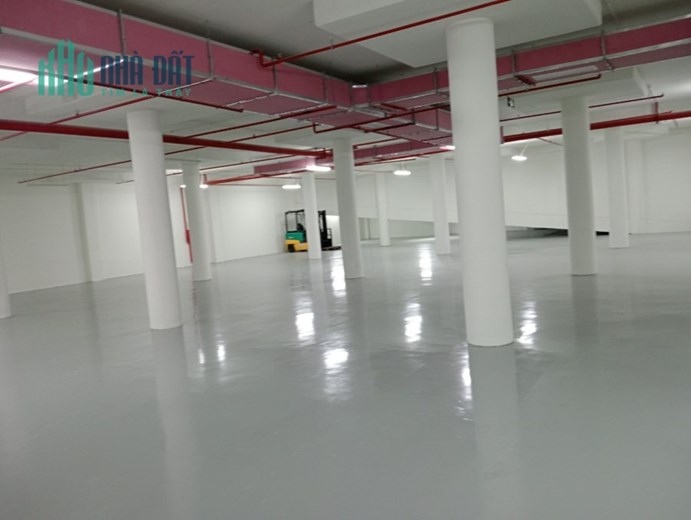 CHUYỂN NHƯỢNG 100% CPCTY  và TS TẠI LONG BIÊN. HN