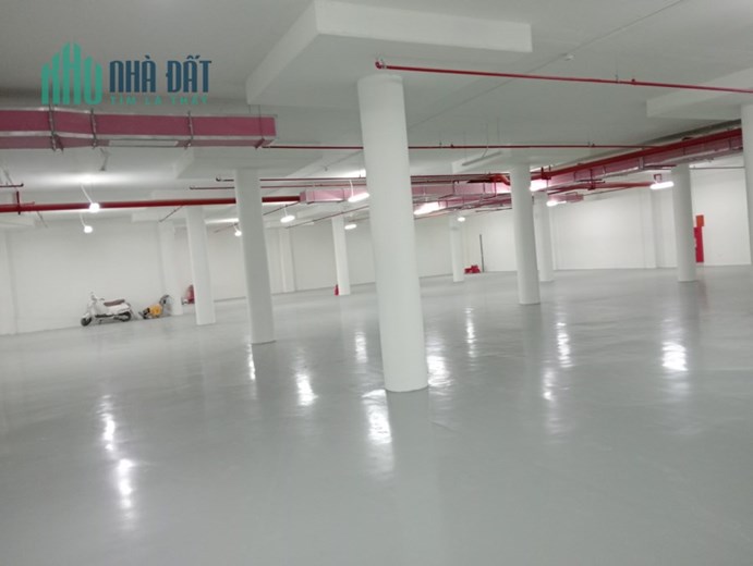 CHUYỂN NHƯỢNG 100% CPCTY  và TS TẠI LONG BIÊN. HN