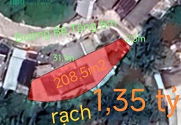 🎯Bán lô đất thổ có nhà trung tâm Thị Trấn Tân Trụ hạ chốt 1,35 tỷ