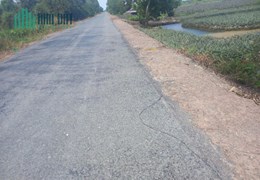 1hecta mặt tiền đường đông kênh 17,thị trấn Mỹ Phước,Tân Phước,Tiền Giang