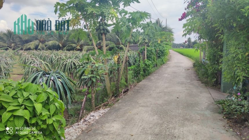 Bán thu hồi vốn lô đất thổ giá rẻ 380 triệu