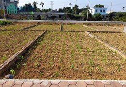 Đất nền khu CNC Hòa Lạc - Cơ hội đầu tư từ 1.5 tỷ/lô, uy tín đảm bảo!