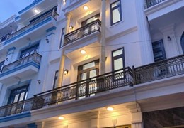 Nhà phố xinh rẻ 5.6 x 9m 1 trệt 3 lầu Liên khu 4-5 Bình Tân TP.HCM