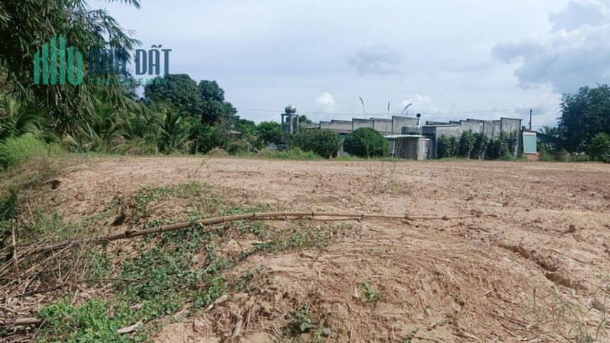 Bán gấp 3,4 công đất làm biệt thự, Tân Hưng, Tân Châu, Tây Ninh, giá chỉ 2,9 tỷ.