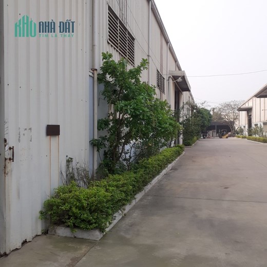 CHO THUÊ KHO, NHÀ  XƯỞNG tại KCN QUANG MINH. HÀ NỘI