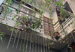 Nhà ĐẸP 3 tầng Hàng Giấy – 33m Mt4m chỉ 5.68 tỷ - NGÕ NÔNG SÁNG SẠCH