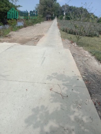 Bán 5hecta đất tại ấp Hưng Phú,Hưng Thạnh,Tân Phước,Tiền Giang