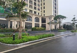 "Đợt Cuối Mở Bán Moonlight 1 KĐT An Lạc Green Symphony: Cơ Hội Cuối cùng cho Nhà Đầu Tư!"