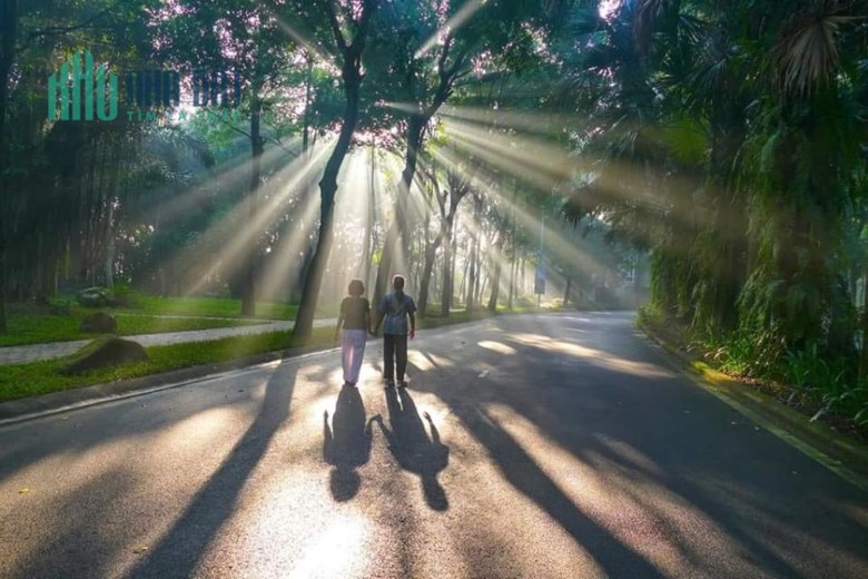 Cơ Hội Sở Hữu Căn Hộ Giá Tốt Nhất Tại Dự Án Fibonan - Chiết Khấu Lên Tới 9%