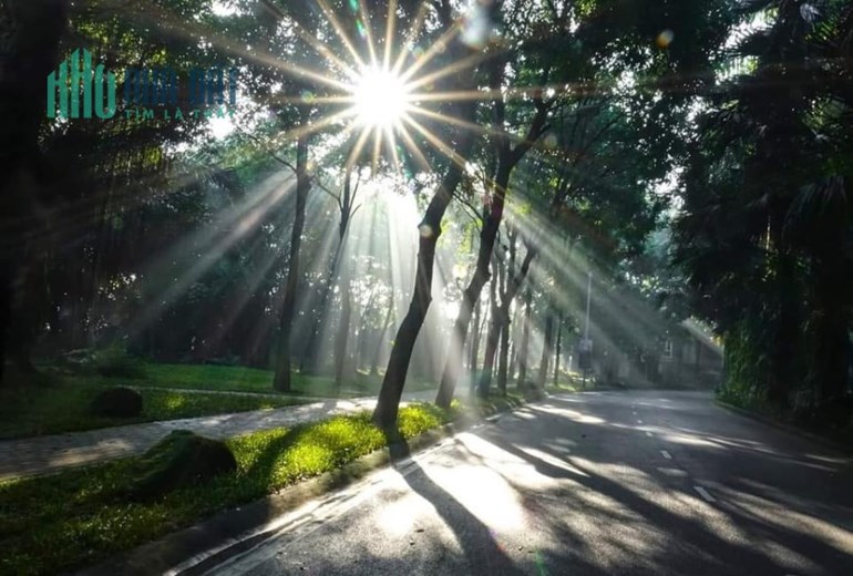 Độc Quyền! Cơ Hội Sở Hữu Căn Hộ Giá Tốt Nhất Tại Dự Án Fibonan - Chiết Khấu Lên Tới 9%