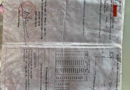 BÁN GẤP LÔ ĐẤT 1/ ĐƯỜNG NGUYỄN THỊ RÀNH, XÃ AN NHƠN TÂY, CỦ CHI.