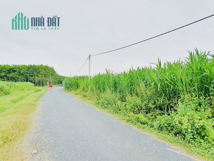 BÁN GẤP LÔ ĐẤT 1/ ĐƯỜNG NGUYỄN THỊ RÀNH, XÃ AN NHƠN TÂY, CỦ CHI.