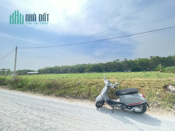 BÁN GẤP LÔ ĐẤT 1/ ĐƯỜNG NGUYỄN THỊ RÀNH, XÃ AN NHƠN TÂY, CỦ CHI.