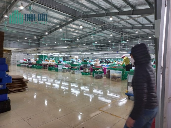 CHUYỂN NHƯỢNG TOÀN BỘ NHÀ XƯỞNG tại Tỉnh NAM ĐỊNH