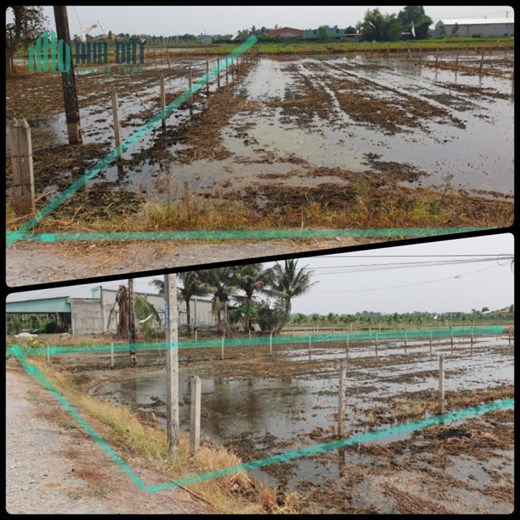 Chính Chủ Cần Bán Nhanh 3 Lô Đất Full Thổ Cư 100%, ngay sát dự án Vinhomes Hậu Nghĩa