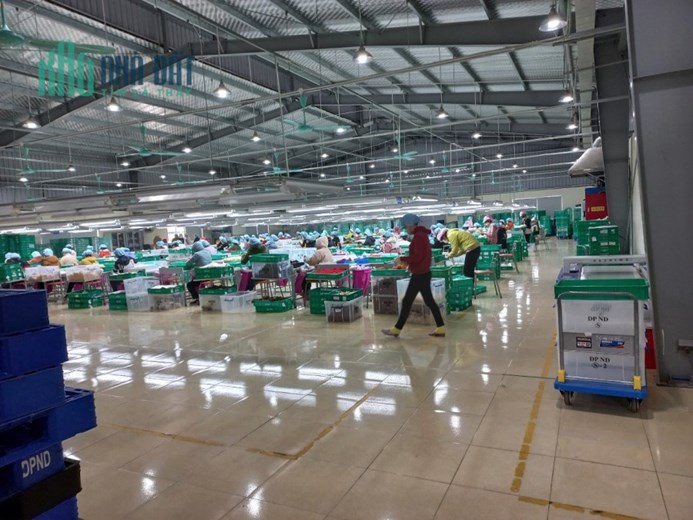 TRANSFER OF THE ENTIRE FACTORY in NAM DINH PROVINCE/南定省整个工厂转让