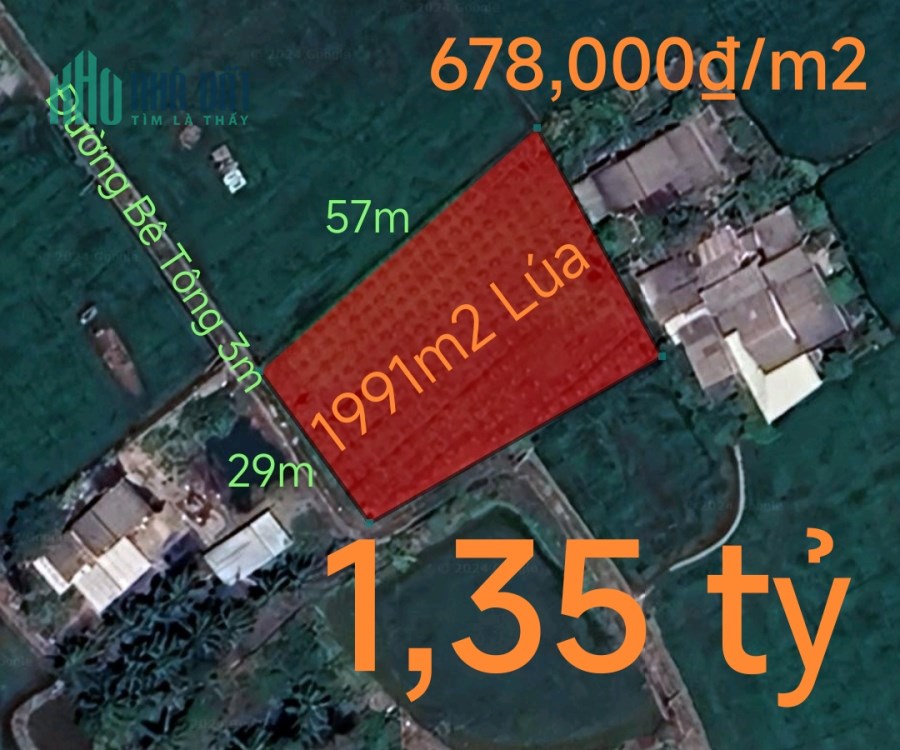 Bán gấp lô đất lúa vị trí trung tâm hạ giá 1,35 tỷ