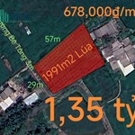 Bán gấp lô đất lúa vị trí trung tâm hạ giá 1,35 tỷ
