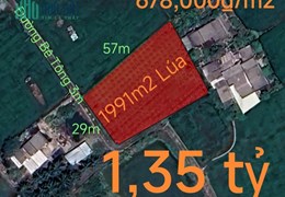 Bán gấp lô đất lúa vị trí trung tâm hạ giá 1,35 tỷ