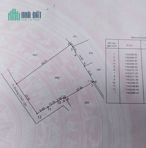Bán gấp lô đất lúa vị trí trung tâm hạ giá 1,35 tỷ