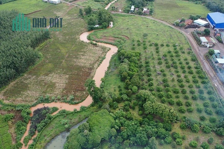 Cần bán NHANH 10894m2 đất tại xã Phước Minh, Bù Gia Mập, Bình Phước.