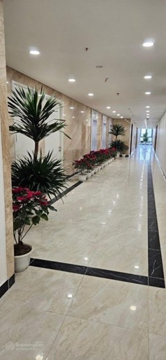 10 suất ưu đãi căn hộ cao cấp 54m2 trực tiếp CĐT Trust City giá hơn 1,7tỷ