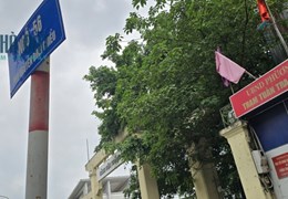 Bán nhà Nguyễn Đình Chiểu (Cạnh công viên Thống Nhất), Hai Bà Trưng, 44m2 x 5.5 tầng, miễn TG
