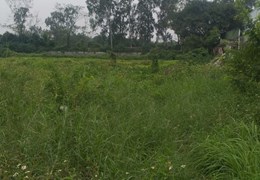 Bán 3ha đất công nghiệp tại Văn Giang, Hưng Yên. Cách mặt đường 379 khoảng 300m