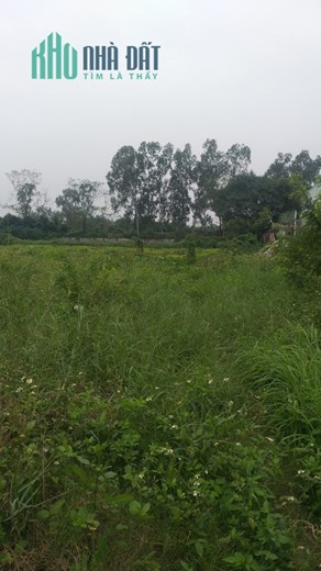 Bán 3ha đất công nghiệp tại Văn Giang, Hưng Yên. Cách mặt đường 379 khoảng 300m